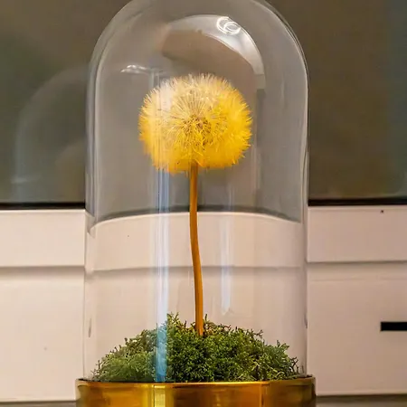 Naturpark Al Schoulwunneng Sir בית כפרי