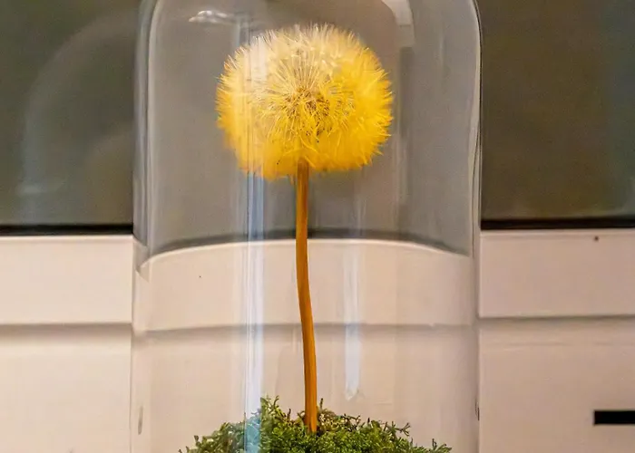 Naturpark Al Schoulwunneng Sir Séjour à la campagne